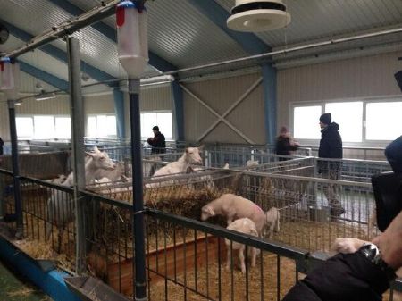 Khám phá dinh thự lộng lẫy của Tổng thống Yanukovych