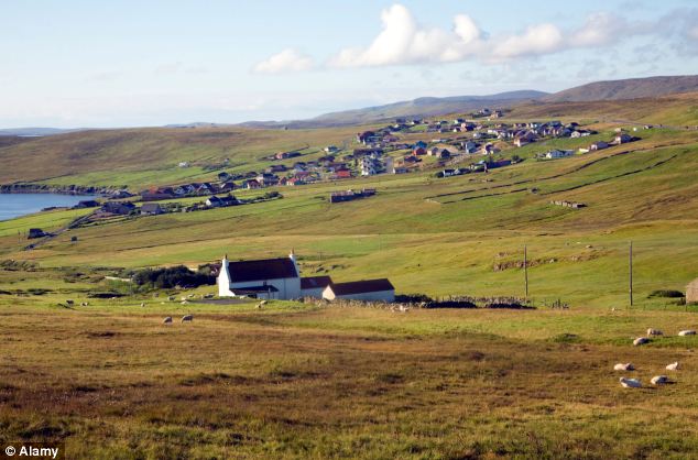 Hội ngộ chú mèo sau 11 năm mất tích