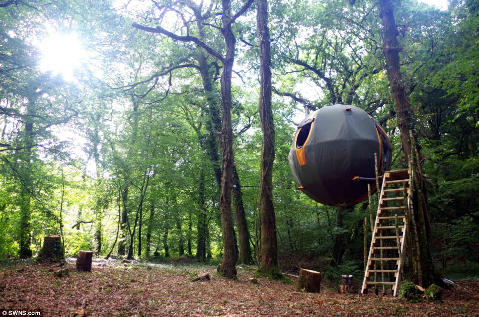 Chiêm ngưỡng khách sạn độc đáo “lơ lửng” trên cây