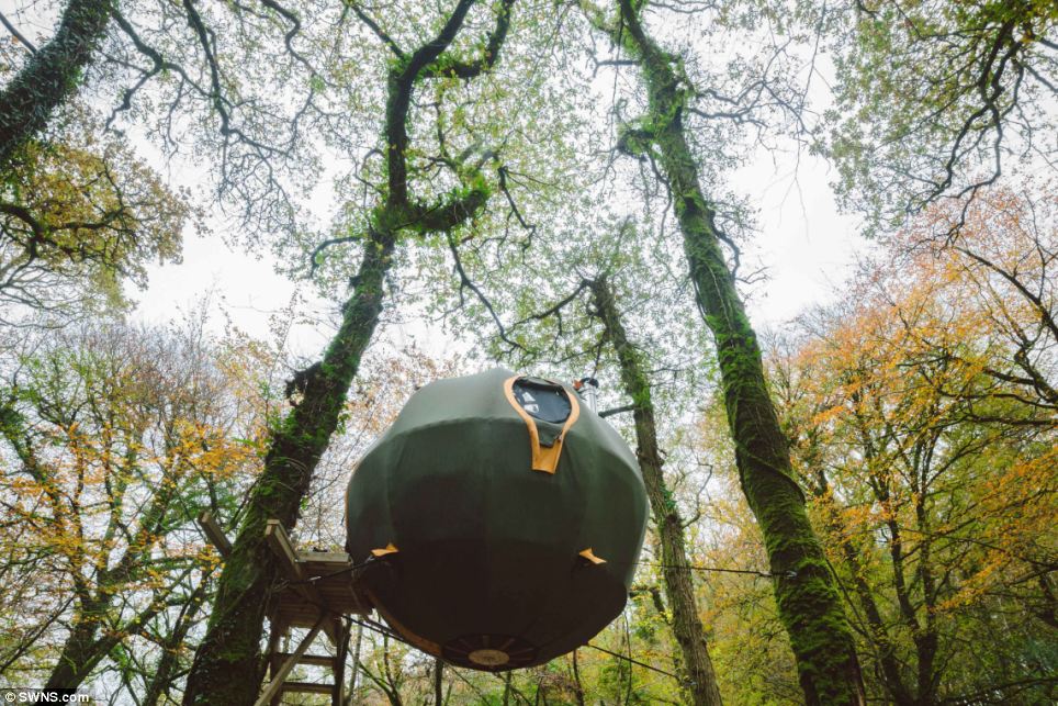 Chiêm ngưỡng khách sạn độc đáo “lơ lửng” trên cây