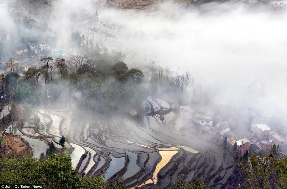 Cánh đồng lúa nghìn năm tuổi “đẹp như tranh” ở Trung Quốc