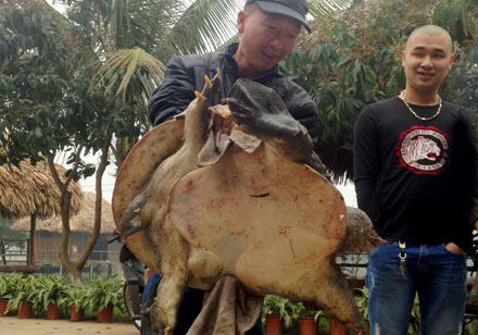 Bắt được ba ba 