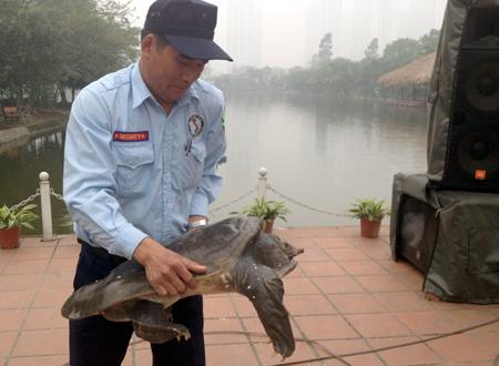 Bắt được ba ba 