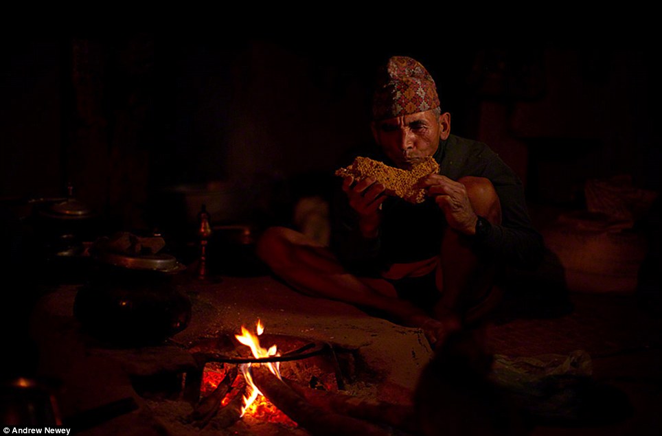 Liều mạng lấy mật ong ở chân núi núi Himalaya