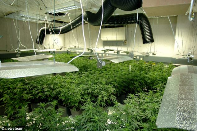 Thiết bị tinh vi phát hiện sào huyệt sản xuất ma túy