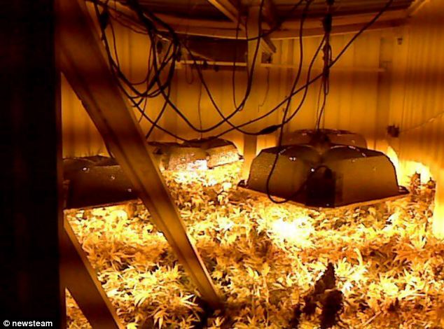 Thiết bị tinh vi phát hiện sào huyệt sản xuất ma túy