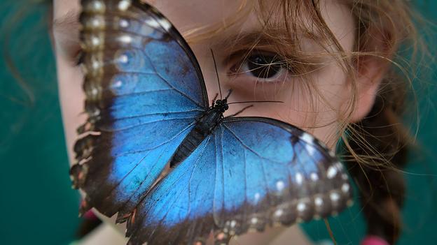 Nhìn lại thế giới trong tuần qua ảnh Nhìn lại thế giới trong tuần qua ảnh