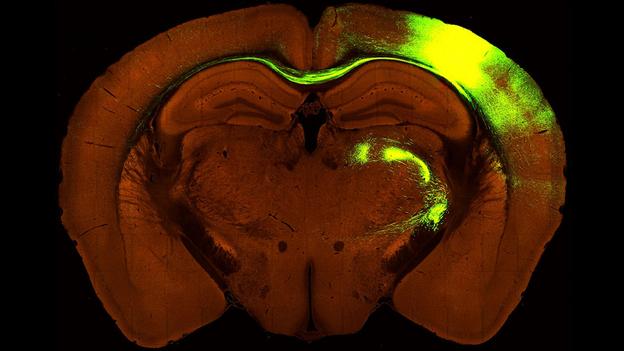 Nhìn lại thế giới trong tuần qua ảnh Nhìn lại thế giới trong tuần qua ảnh
