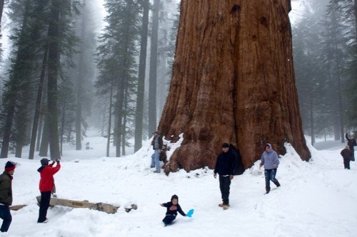 10 điểm du lịch không nên bỏ qua ở Mỹ