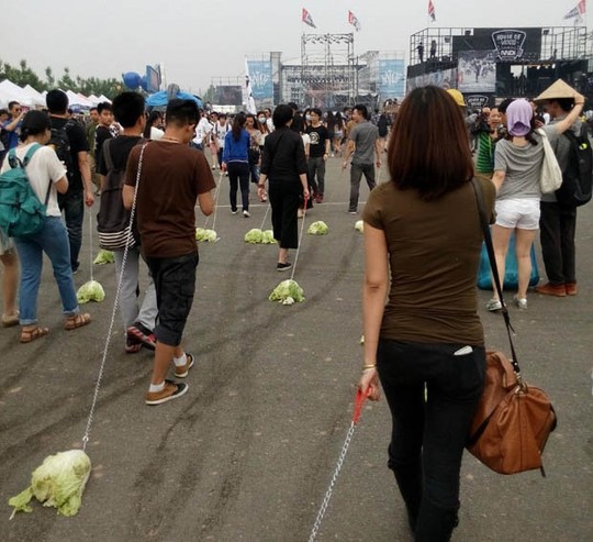 Thanh niên Trung Quốc đua nhau…dắt bắp cải đi dạo