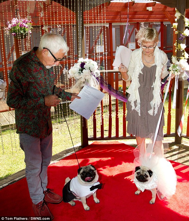 Chi 70 triệu tổ chức đám cưới cho…cún cưng