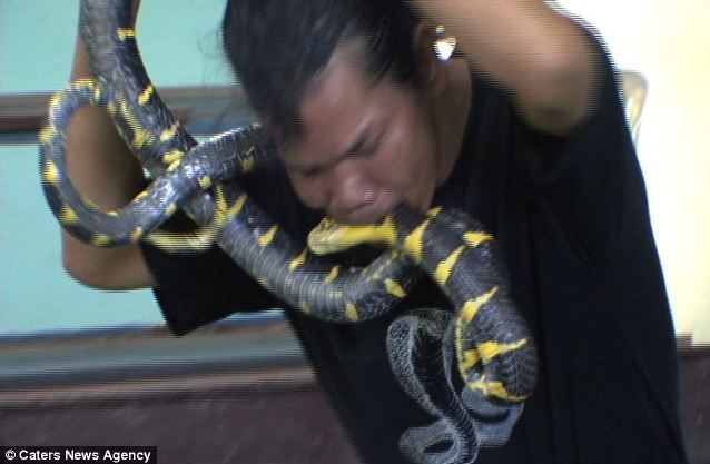 Kinh dị người đàn ông hôn…rắn độc