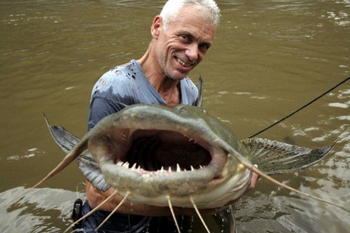 10 loài cá nguy hiểm nhất thế giới