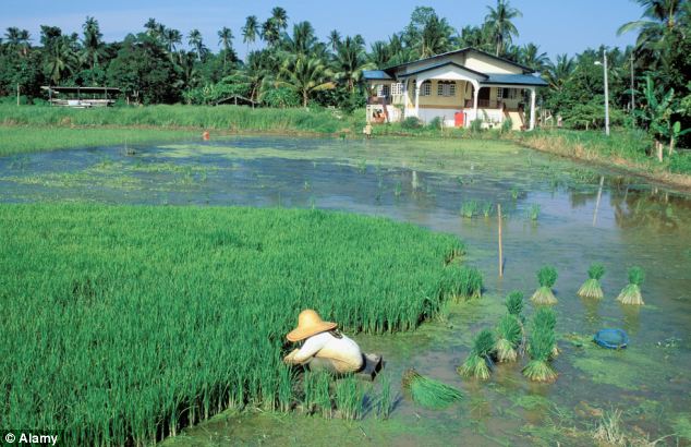 Malaysia: Thiếu nữ 15 tuổi bị 38 người hiếp dâm tập thể