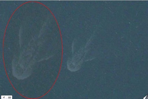 Lại xuất hiện những quái vật gây xôn xao dư luận