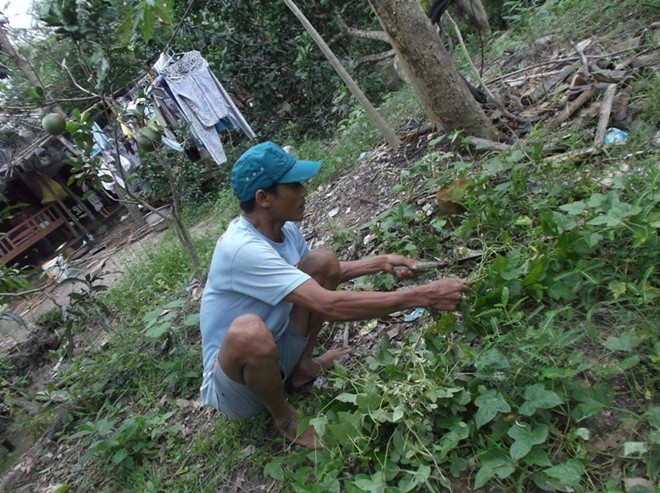 Căn nhà rách bươm của người trả lại 86 triệu nhặt được