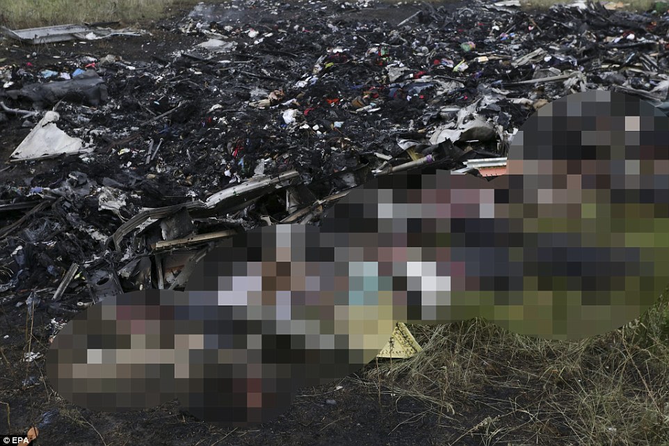 Nhân chứng MH17 kể lại giây phút rơi máy bay kinh hoàng