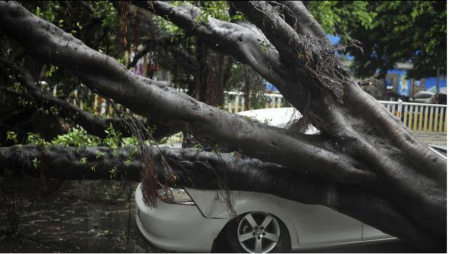 Bão Matmo tàn phá tỉnh Phúc Kiến, Trung Quốc
