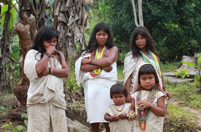 Kỳ lạ bộ tộc sống giữa rừng, cực kỳ thông thái