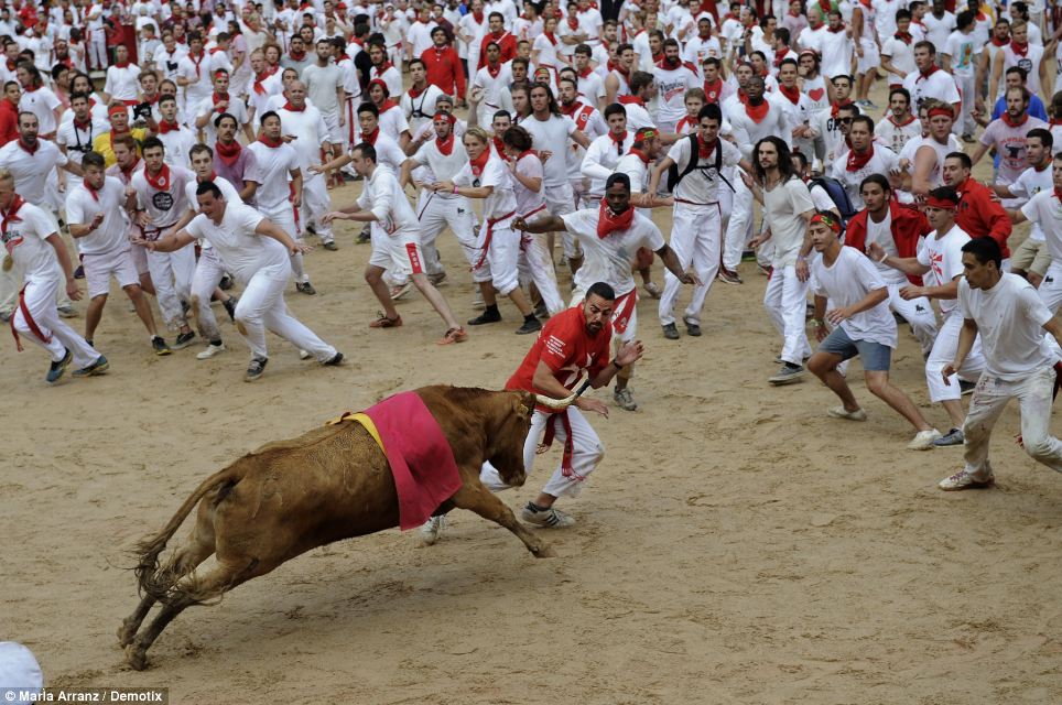 Bò tót hung hãn tấn công, 4 người nhập viện tại Tây Ban Nha