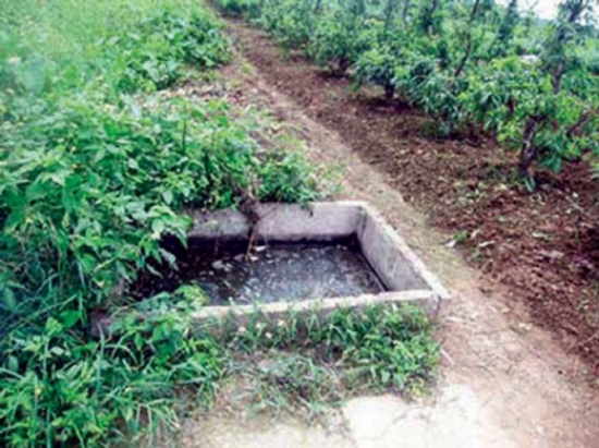 Độc chiêu ẩn mình của những tay giang hồ muốn đào tẩu