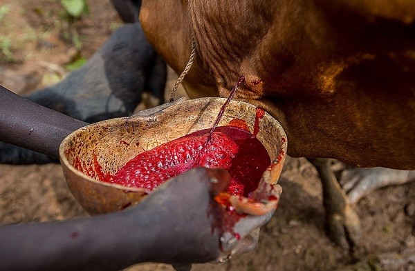 Những nghi thức truyền thống ghê rợn nhất hành tinh
