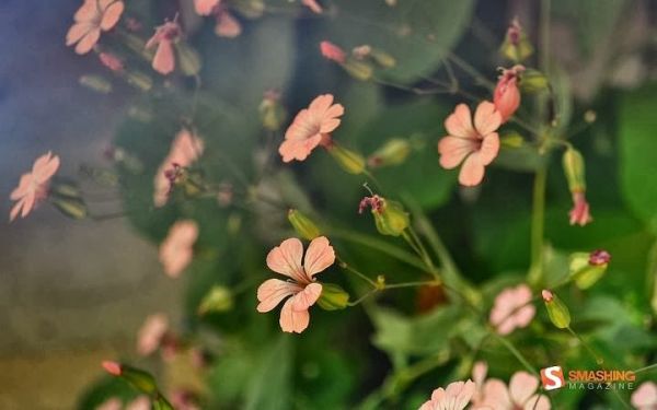 Tử vi tuần mới cho 12 cung hoàng đạo (18/8-24/8) 