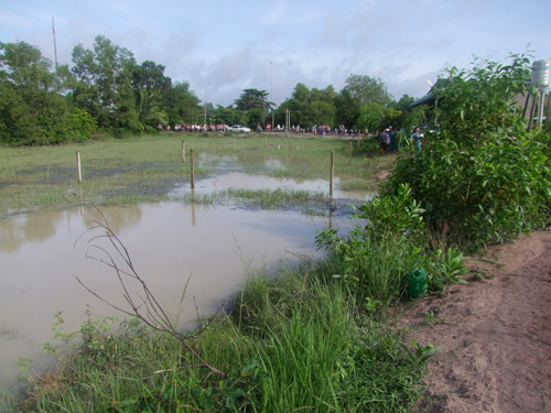 Chết thảm trong lưới cá