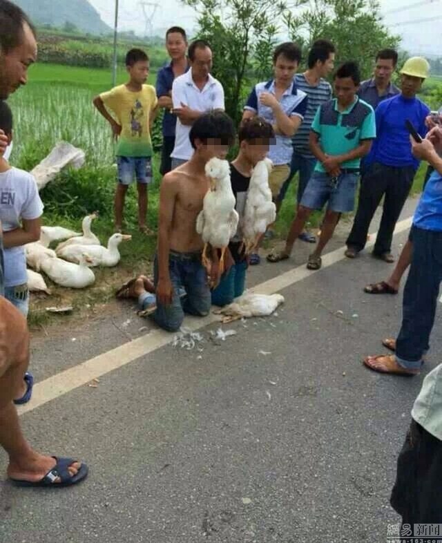 Thiếu niên trộm vịt bị dân làng bắt quỳ gối, ngậm…vịt