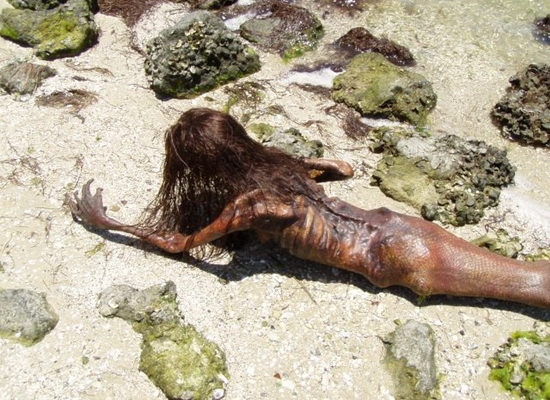 Nàng tiên cá có thật hay không?