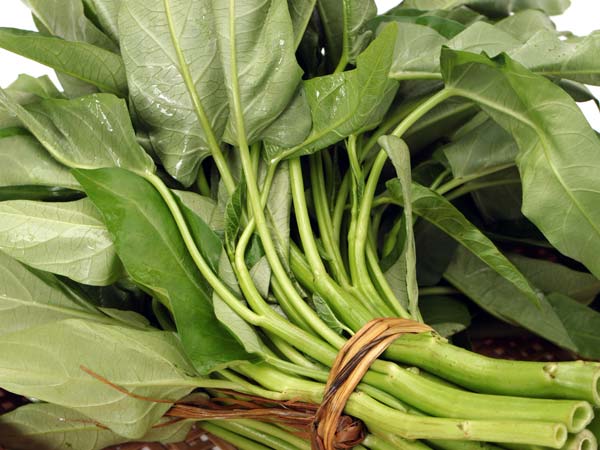 Top 10 loại rau, củ chống ung thư hữu hiệu Top 10 loại rau, củ chống ung thư hữu hiệu