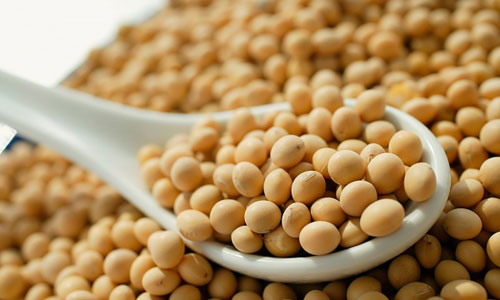 7 “thủ phạm”quen thuộc hàng đầu gây mụn trứng cá 7 “thủ phạm”quen thuộc hàng đầu gây mụn trứng cá