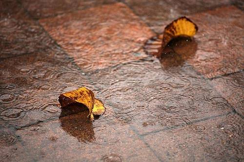 Hết tiền, cá độ bóng đá bằng…Vợ!