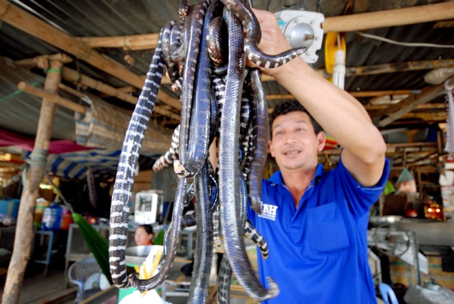 Những chợ đặc biệt chỉ có trong mùa lũ