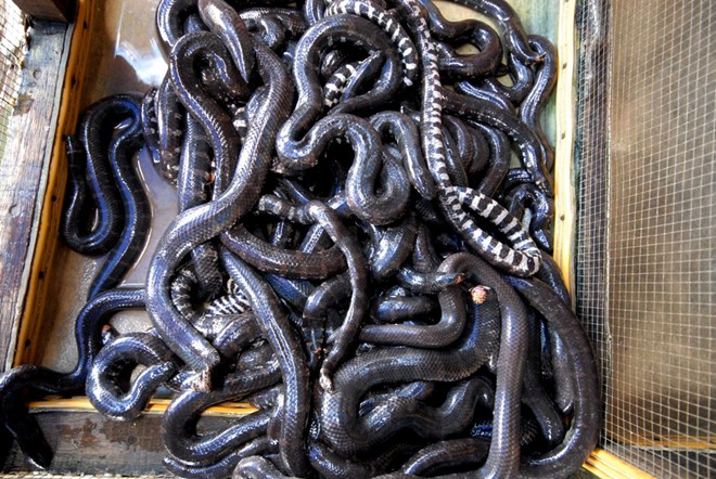 Những chợ đặc biệt chỉ có trong mùa lũ