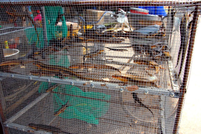 Những chợ đặc biệt chỉ có trong mùa lũ