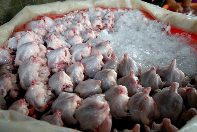 Những chợ đặc biệt chỉ có trong mùa lũ