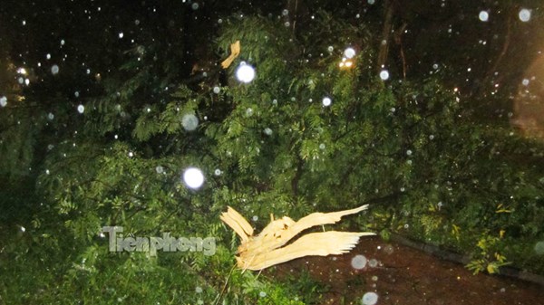 Chùm ảnh bão số 3 quét qua, tàn phá các khu vực Chùm ảnh bão số 3 quét qua, tàn phá các khu vực