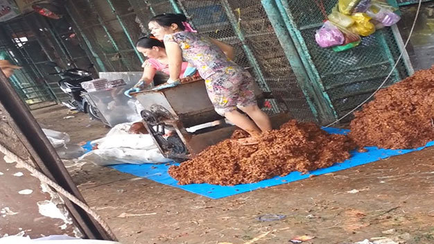 Rùng mình những thực phẩm bẩn bày bán trên thị trường Rùng mình những thực phẩm bẩn bày bán trên thị trường