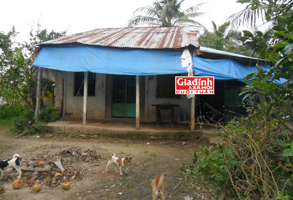 Trải lòng của người phụ nữ 16 năm chịu tiếng dìm con dưới hầm phâ