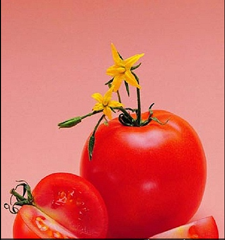 Ăn những loại rau này, gan bạn sẽ khỏe Ăn những loại rau này, gan bạn sẽ khỏe