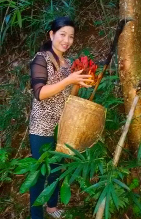 Cô giáo xinh đẹp 30 năm săn tìm loài nấm hình 