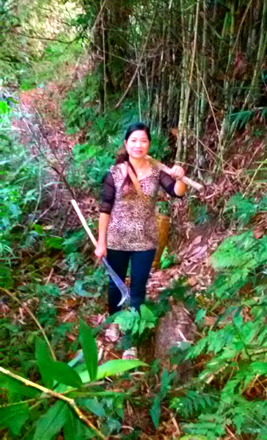 Cô giáo xinh đẹp 30 năm săn tìm loài nấm hình 