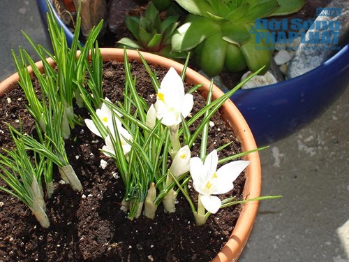 Kỳ 2: Nghệ sĩ và lời đồn Kỳ 2: Nghệ sĩ và lời đồn