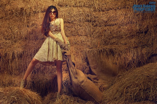 Trang Pháp Trang Pháp