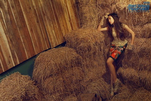 Trang Pháp Trang Pháp