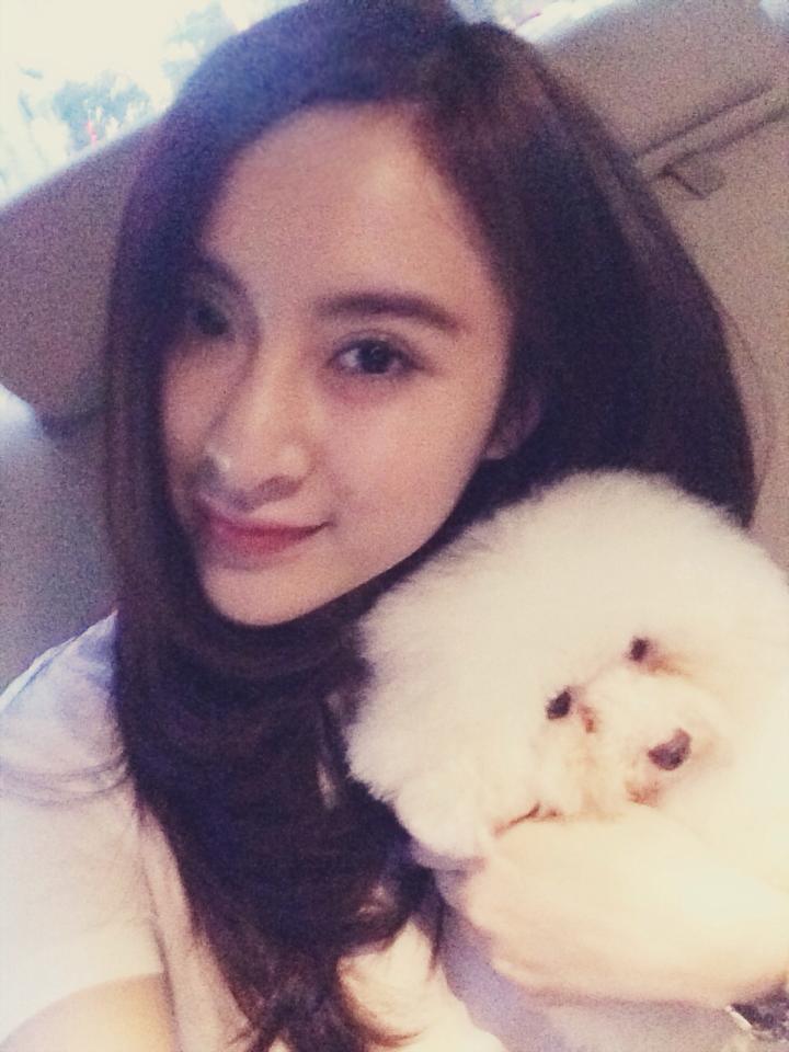 Angela Phương Trinh đưa thú cưng đi spa Angela Phương Trinh đưa thú cưng đi spa