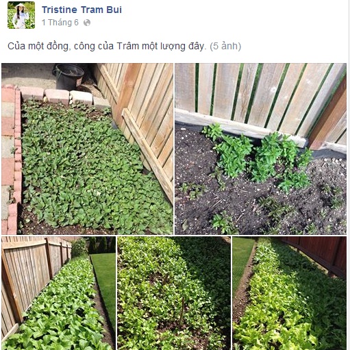 Soi nhan sắc Hoa hậu gốc VIệt bị bỏ tù vì trồng cần sa