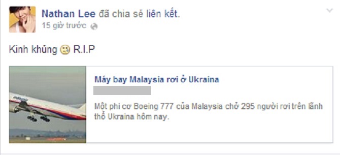 may-bay-malaysia-mh17