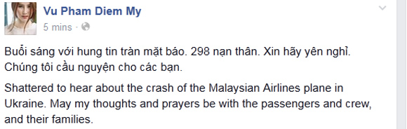 may-bay-malaysia-mh17